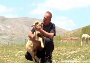 Bakan avuolu nun Ata Yurdu Sbimen Yaylasndaki Video Paylamna byk lgi